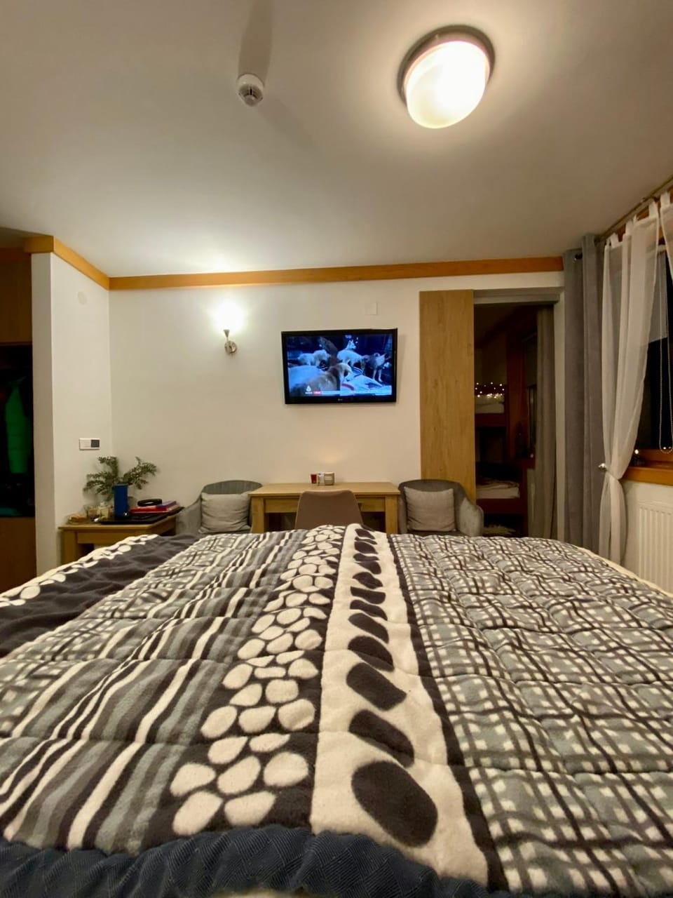 Bed, TV and multimedia
