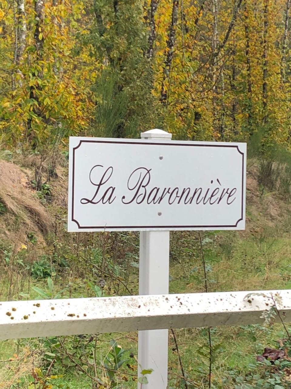 Logo/Certificate/Sign