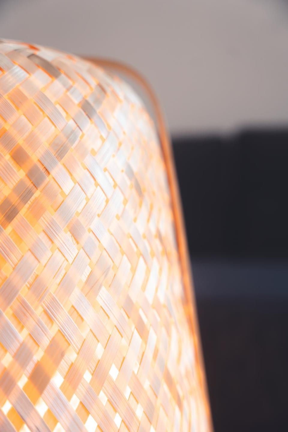 Le Cabernet, T2 centre ville Apartment in Tours