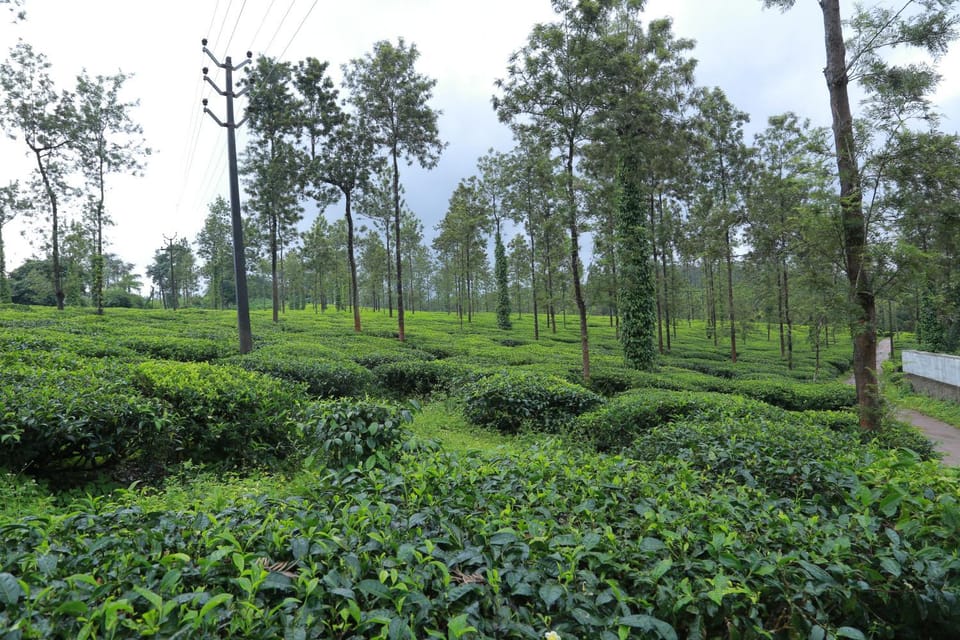 Natural landscape