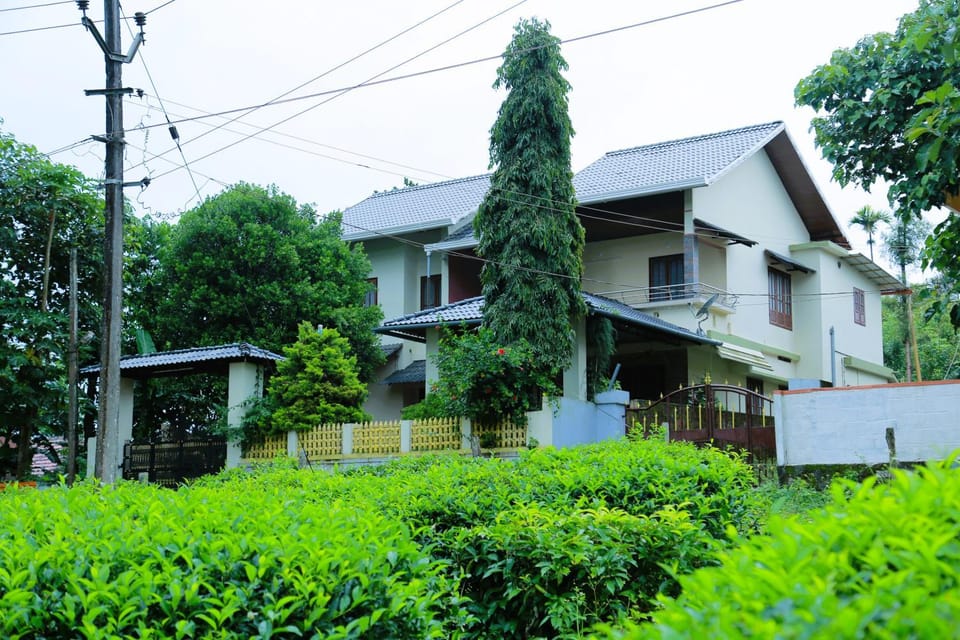 Property building, Spring