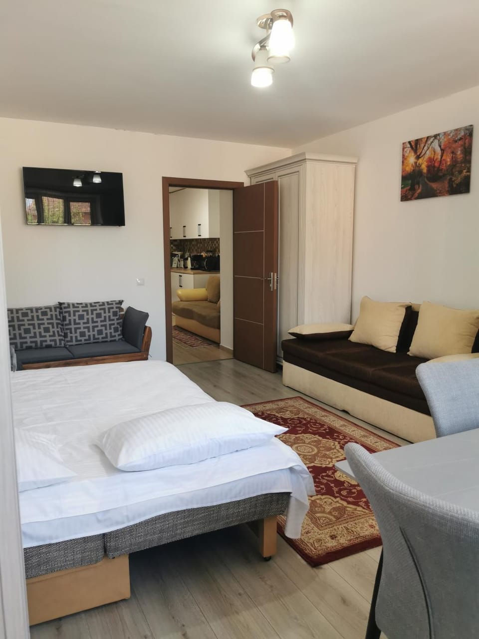 Fully Furnished Studio Vacation rental in Romania
