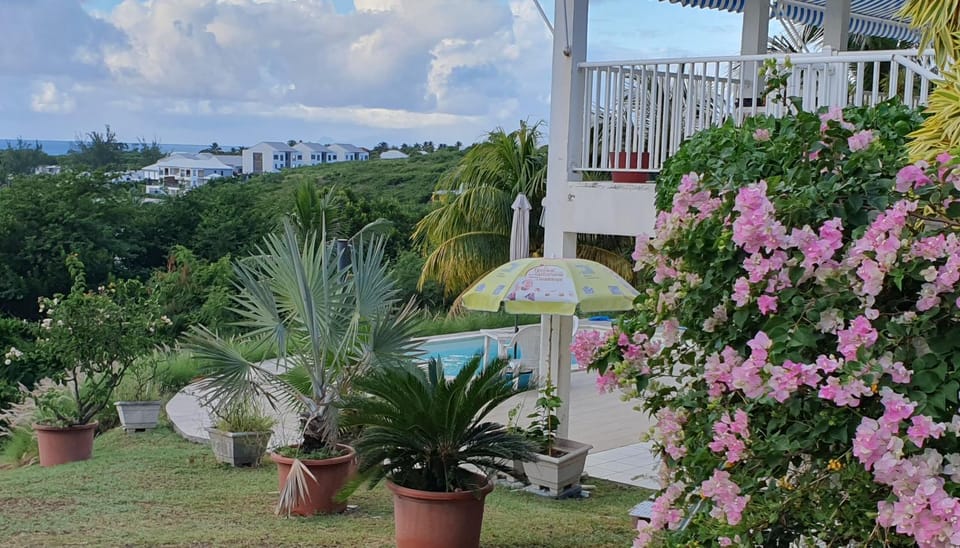 Garden, Sea view
