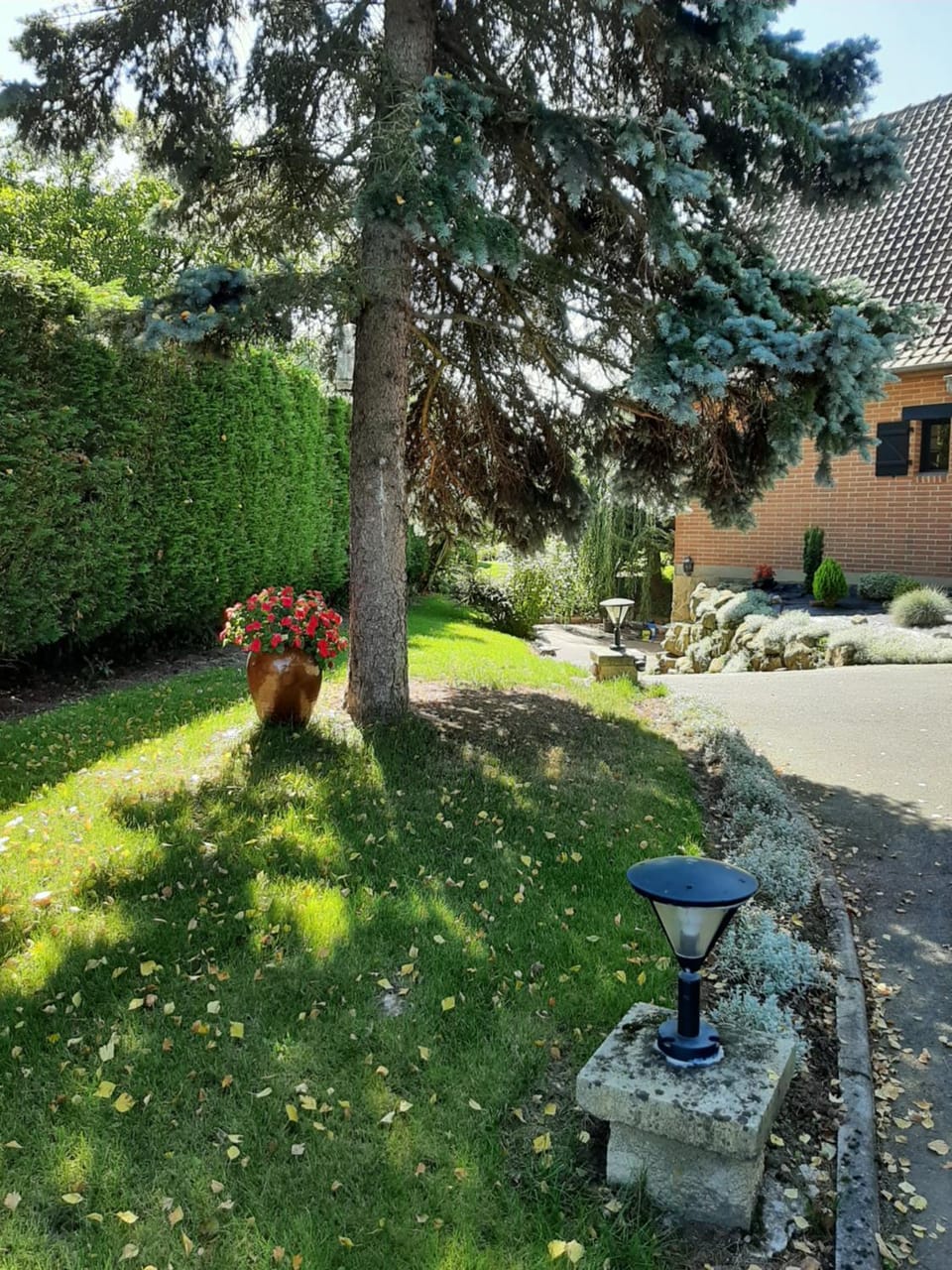 Garden view