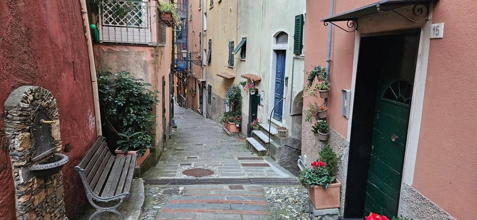 Neighbourhood, Street view