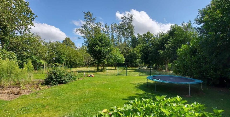 Day, Natural landscape, Garden