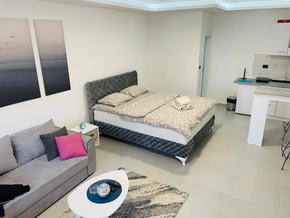 Luxury Centar 2 Apartment in Serbia