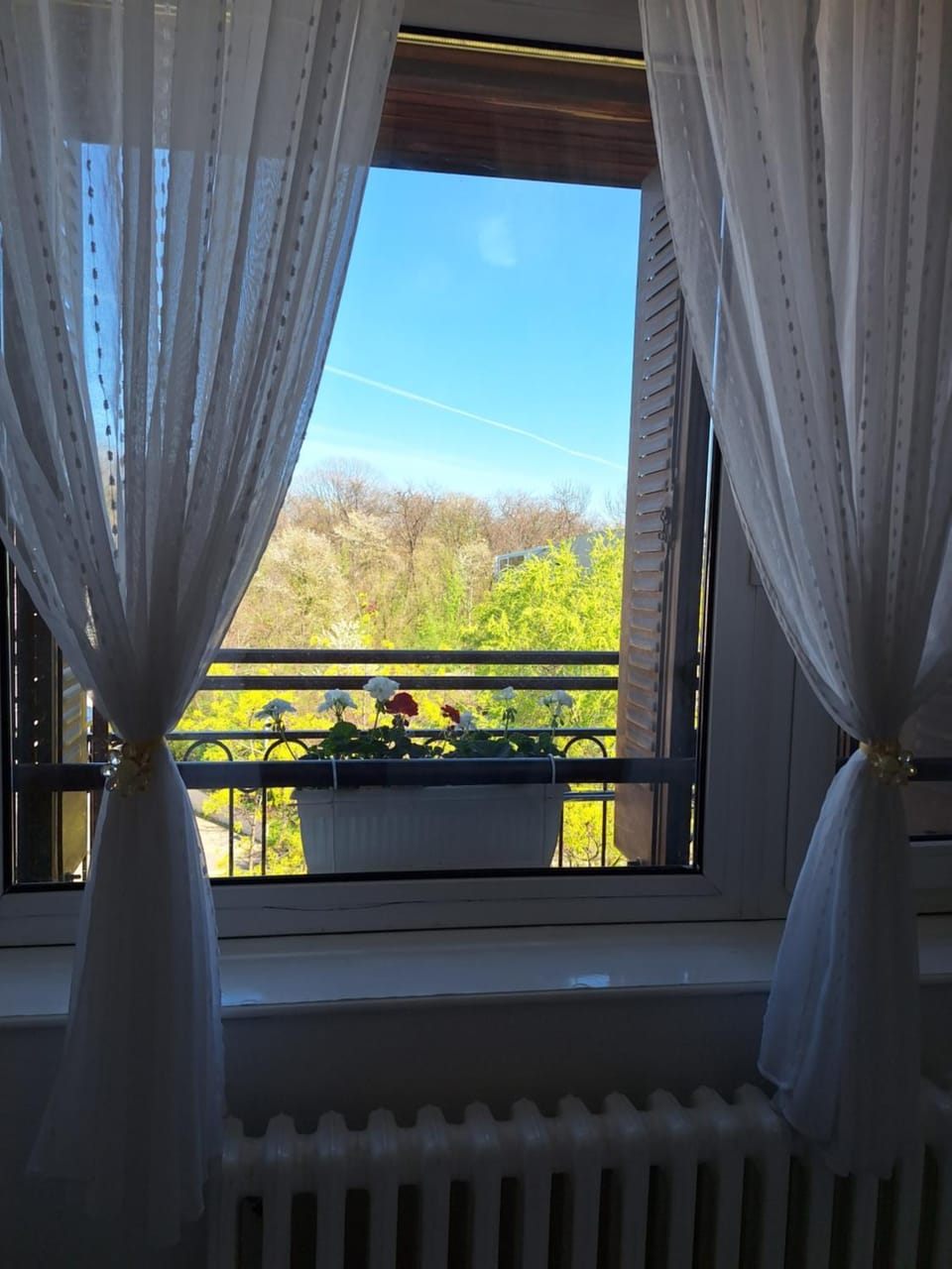 View (from property/room)