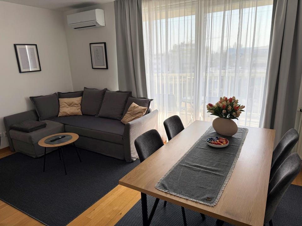 Balcony/Terrace, Living room, Seating area, Dining area, air conditioner
