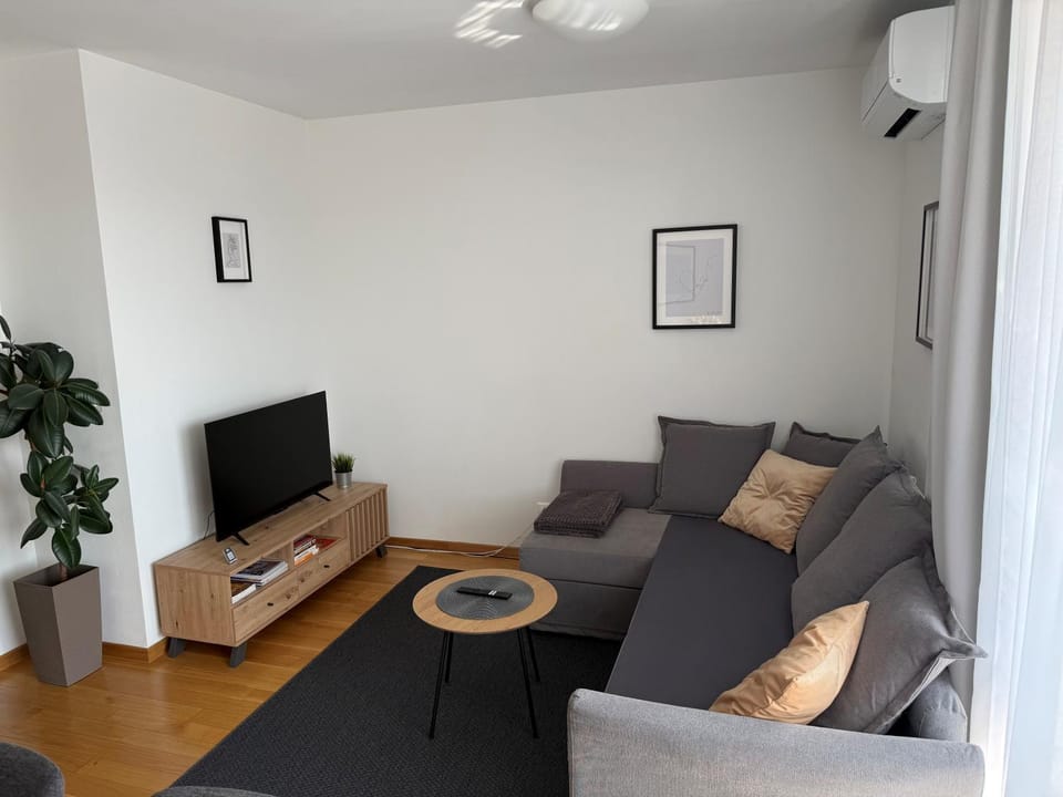 Living room, Seating area, air conditioner
