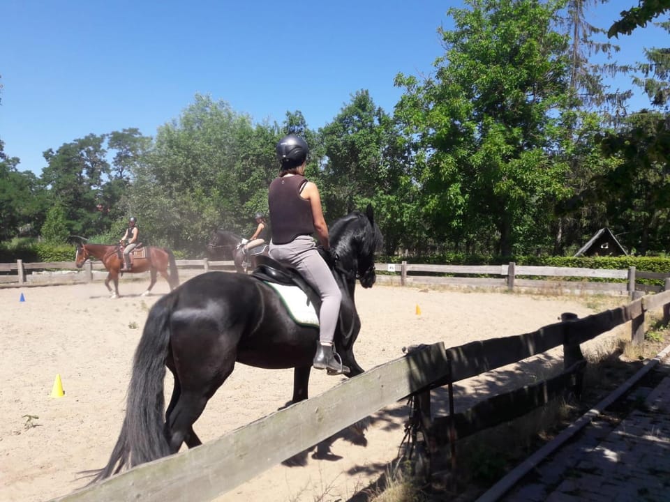 Horse-riding
