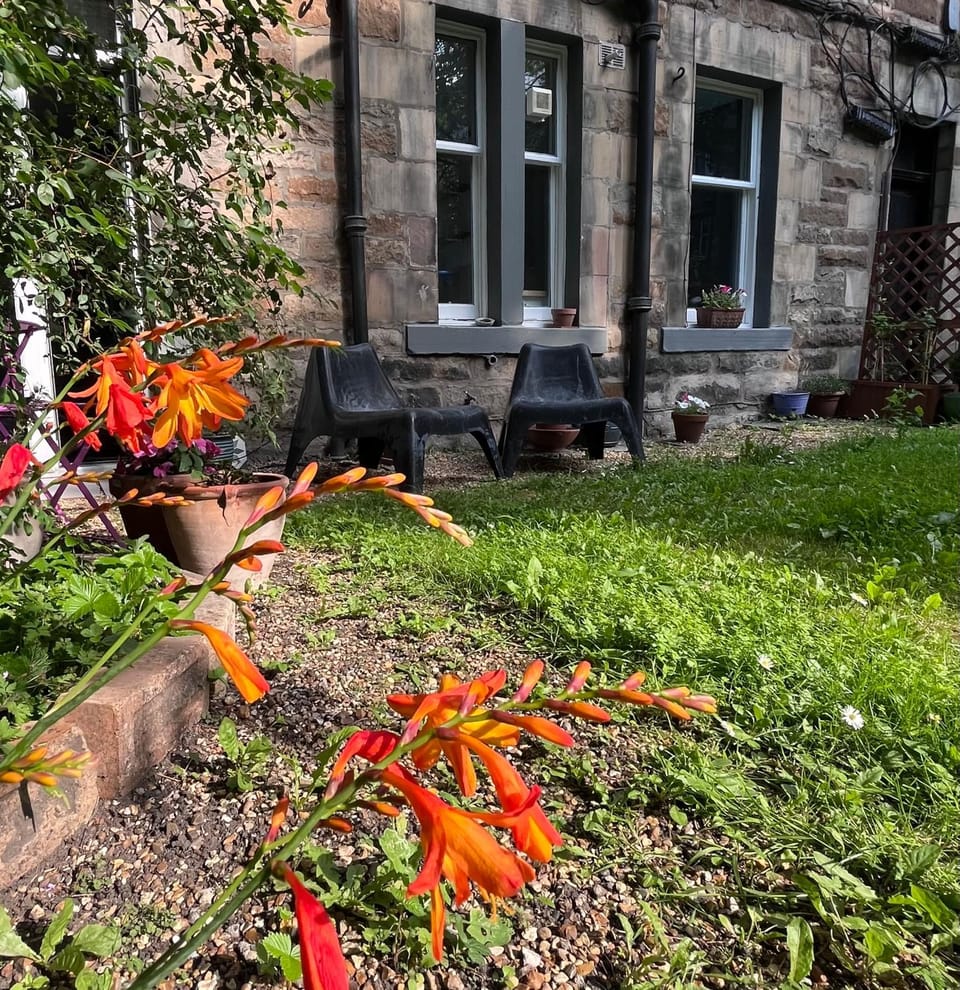 Spring, Day, Garden, Garden view