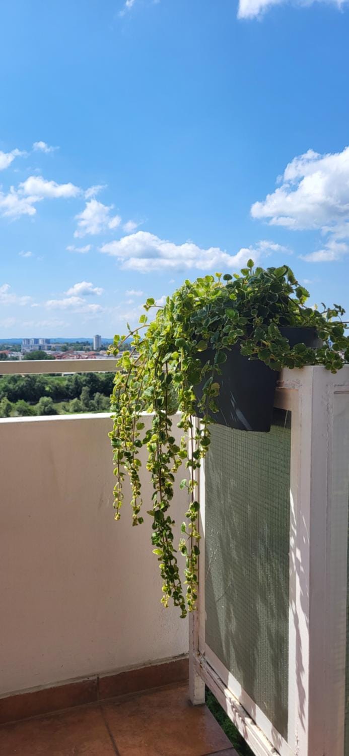 Apartment Blessing Apartment in City of Zagreb