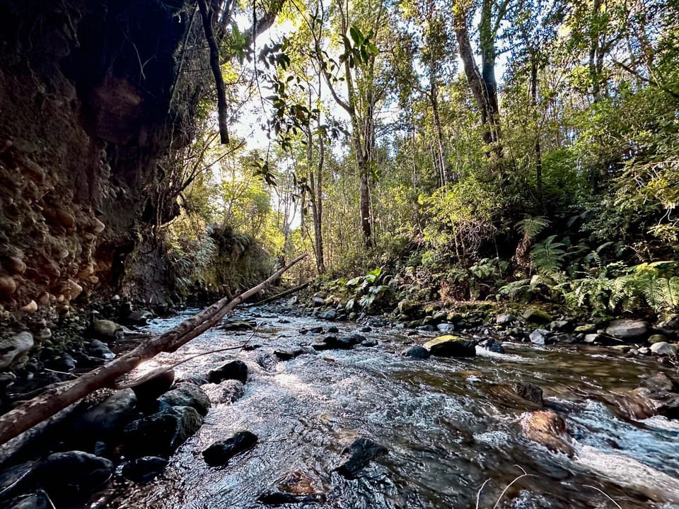 Nearby landmark, Natural landscape, River view