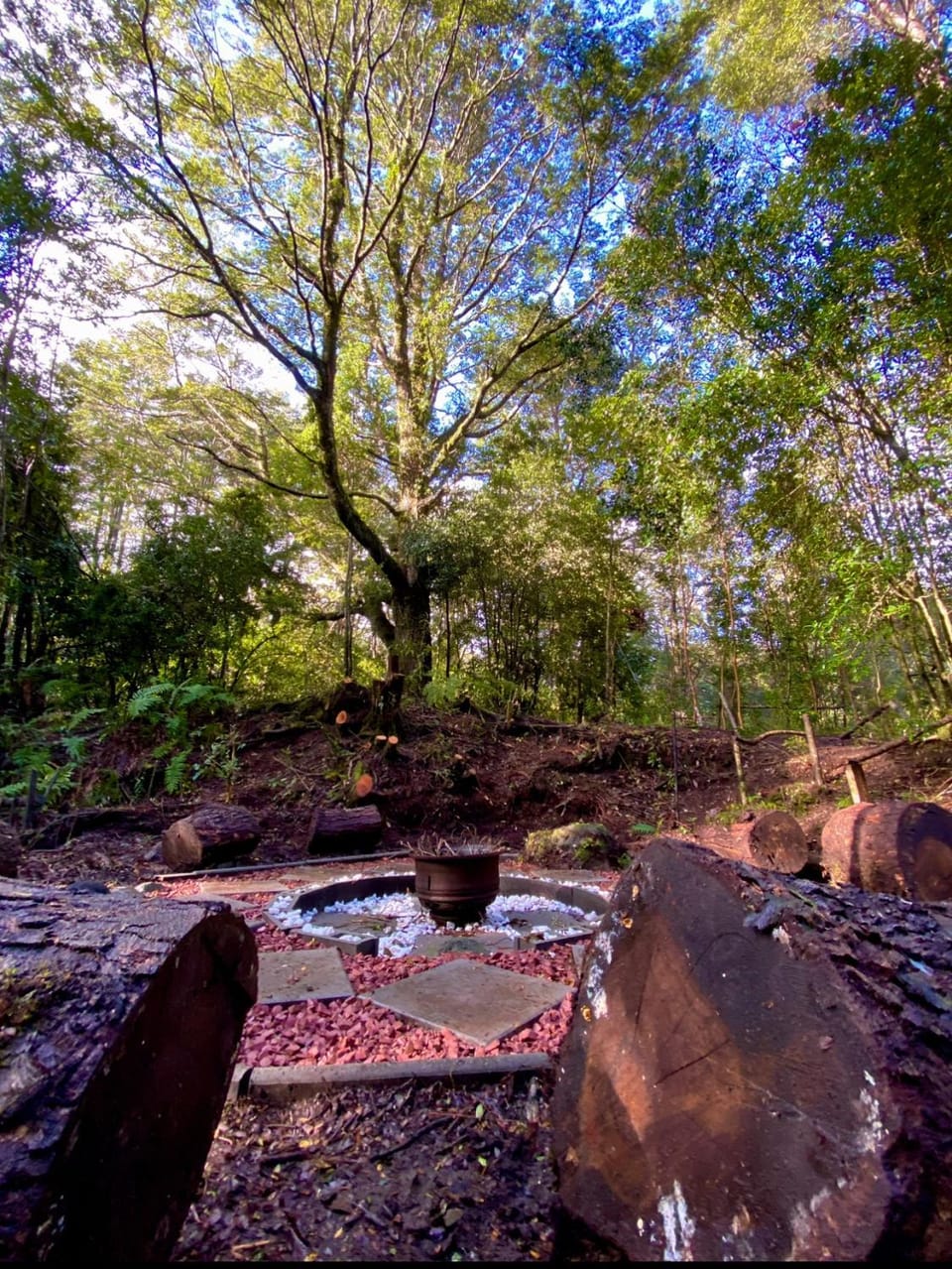 Natural landscape, Garden, flat iron