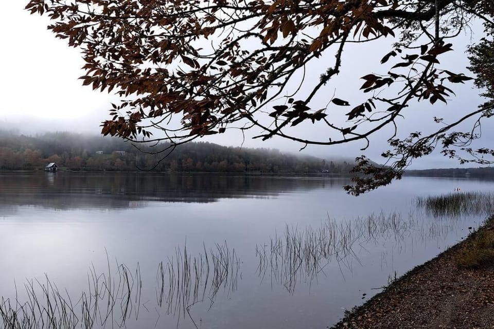 Islander Lodge - Lochaber Lake Lodges House in Nova Scotia