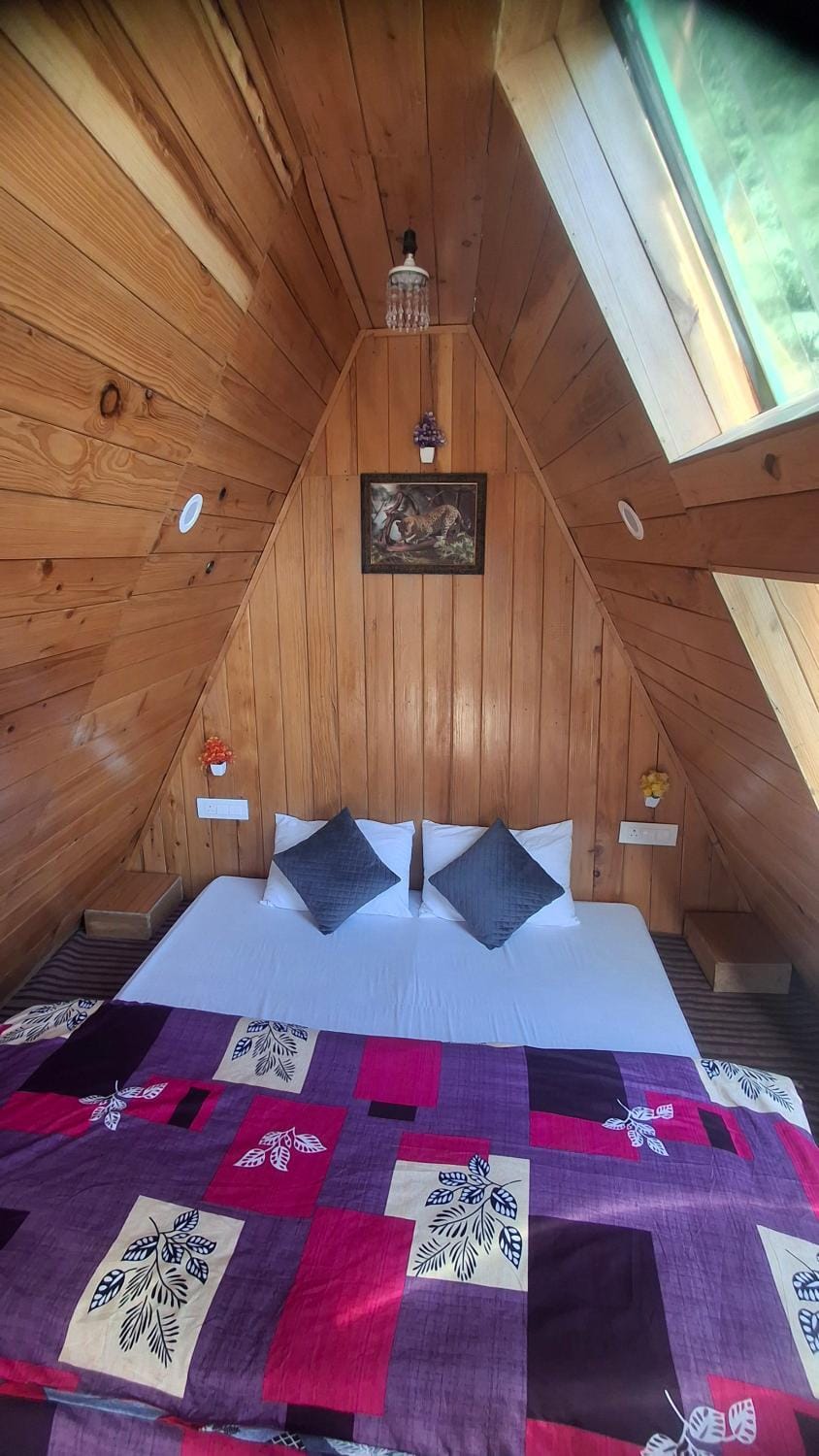 Pinehill cottage House in Himachal Pradesh