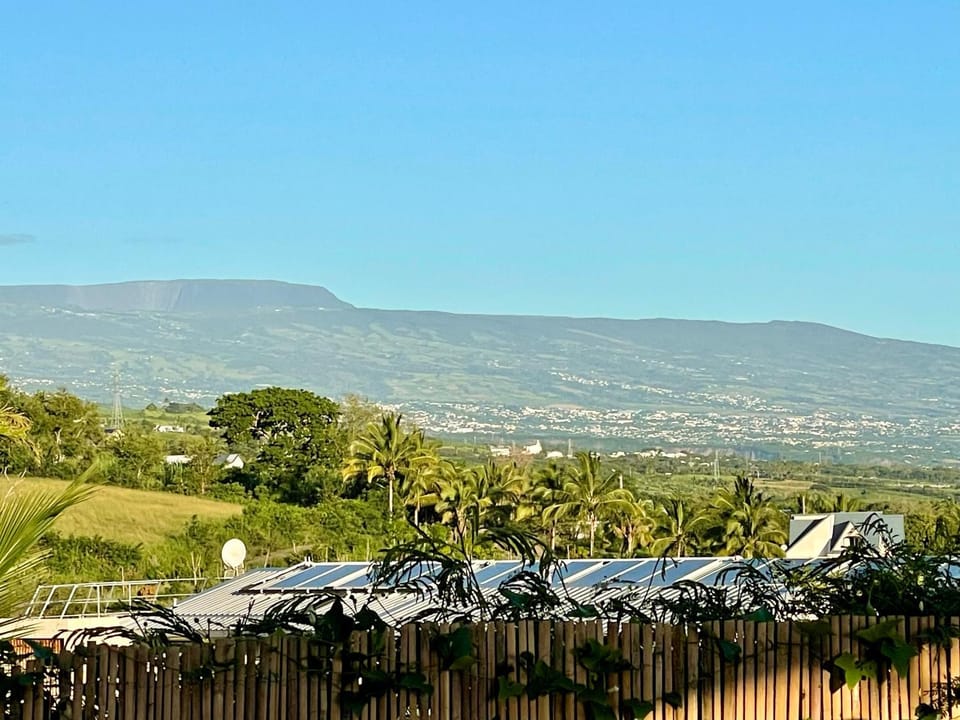 Natural landscape, Garden, Mountain view