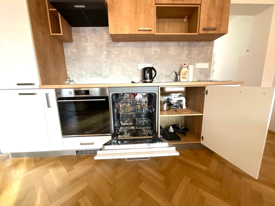 Kitchen or kitchenette, dishwasher