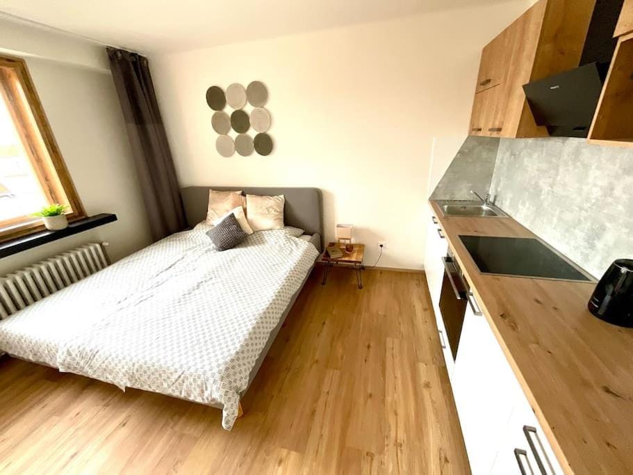 Apartmán č.4 v bankovním domě Apartment in Czechia