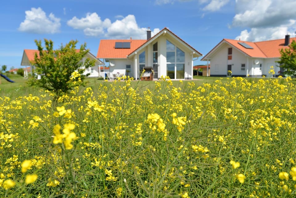Villa Kranich Apartment in Mecklenburg-Vorpommern, Germany