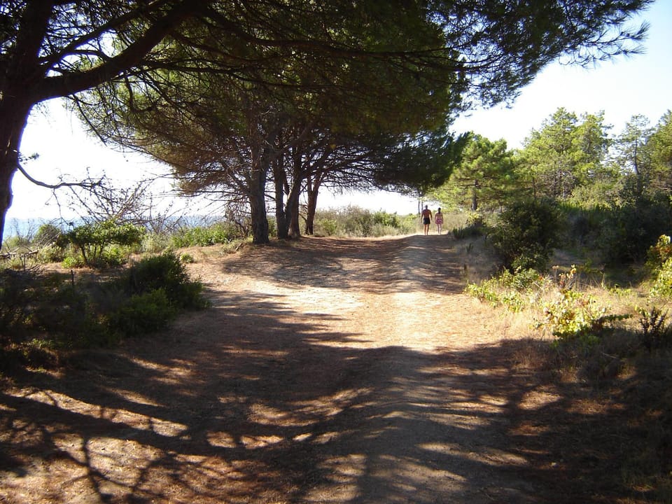 Natural landscape