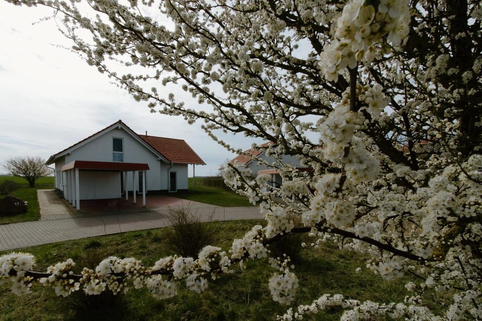 Property building, Natural landscape