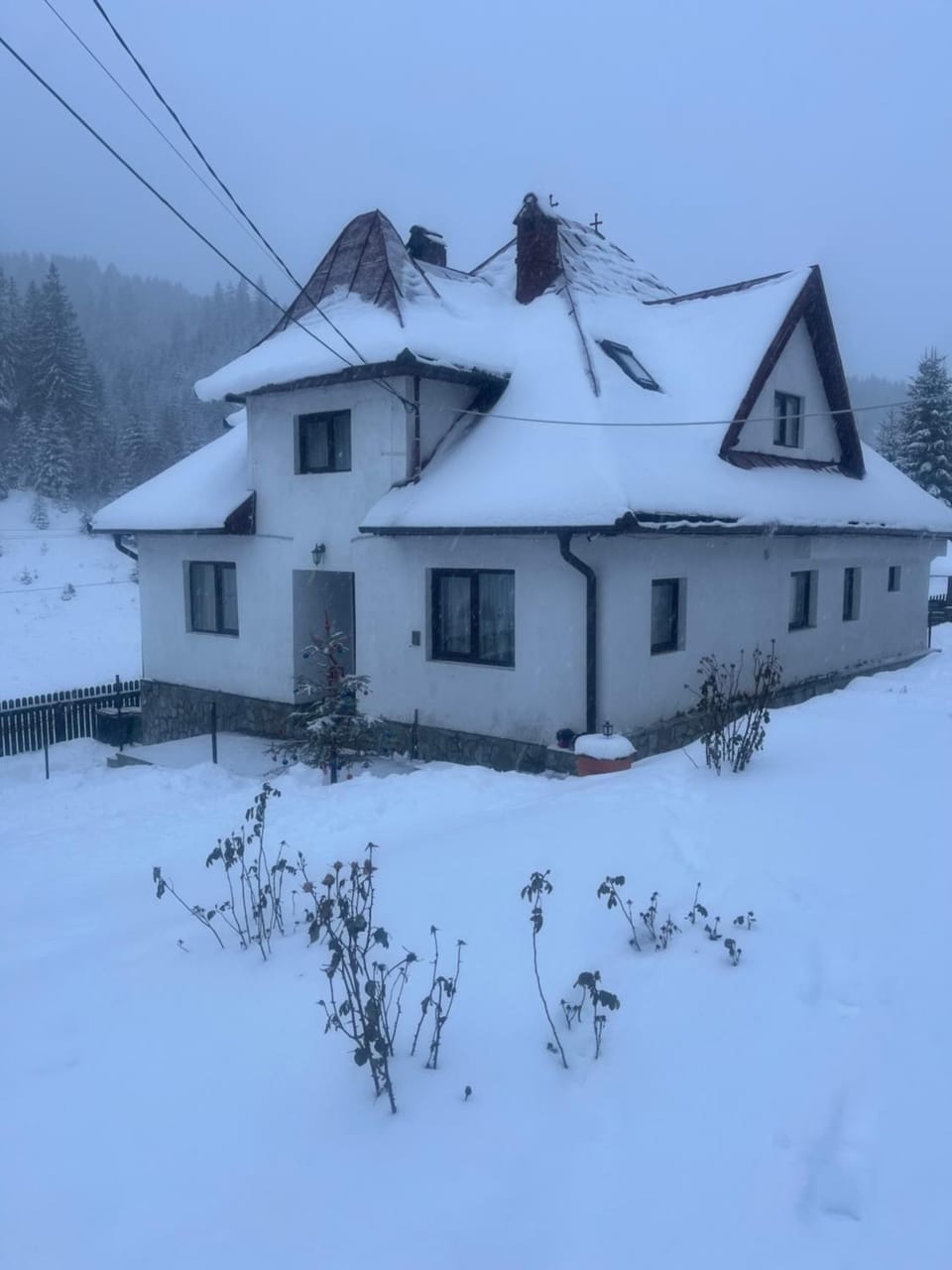 Pensiunea Valea Dorului Bed and Breakfast in Brașov County