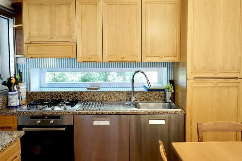 Kitchen or kitchenette, dishwasher, minibar, pet friendly, stove