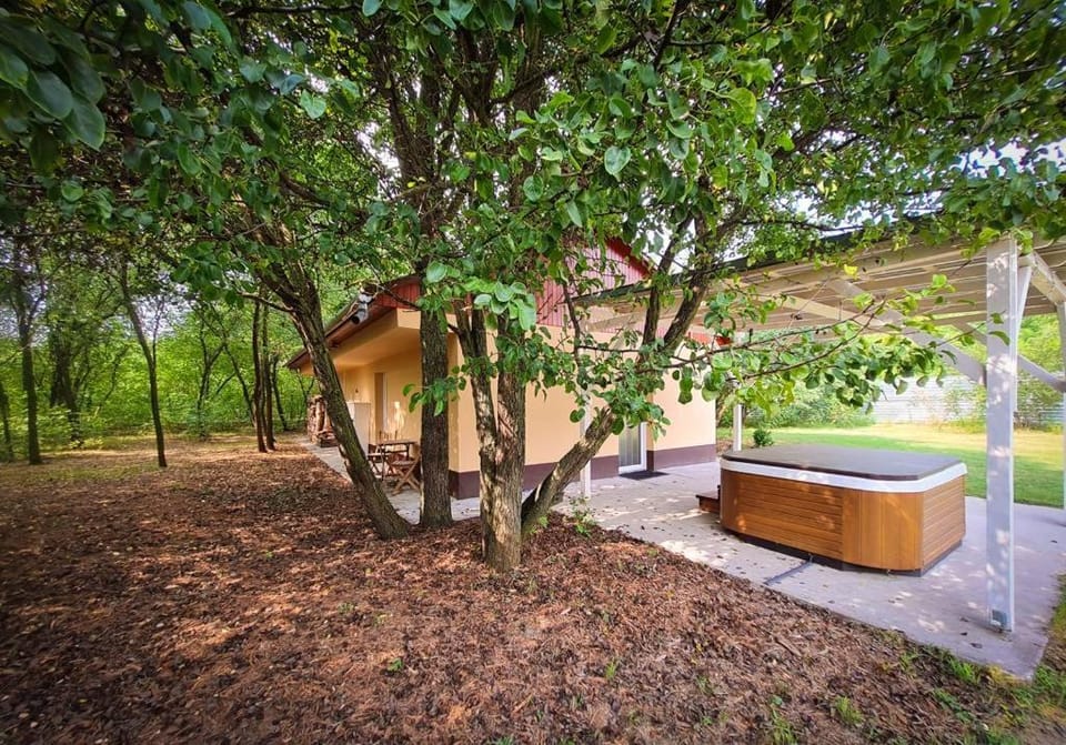 Natural landscape, Garden view