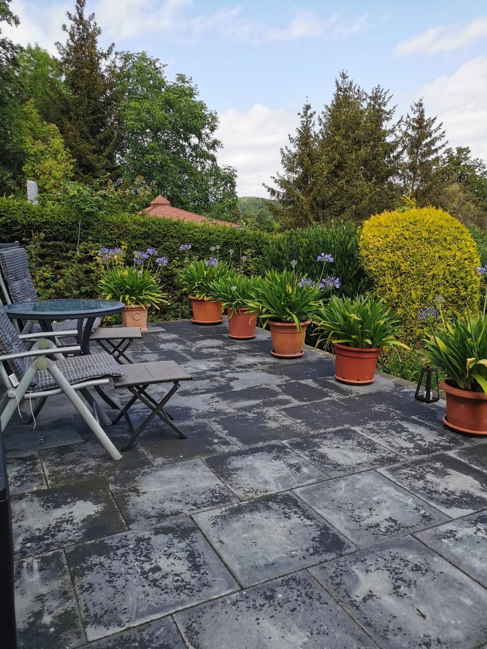 Ferienhaus Appold House in Wernigerode