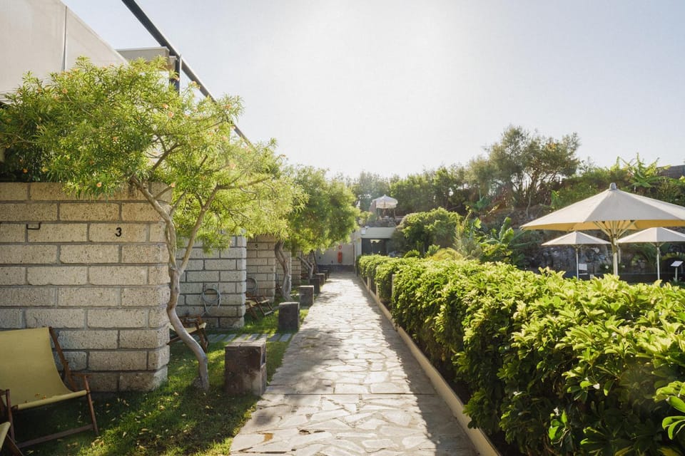 Patio, Garden, Garden view