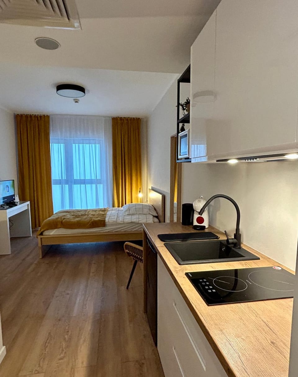 Bed, TV and multimedia, Kitchen or kitchenette, Photo of the whole room, hair dresser, minibar, stove