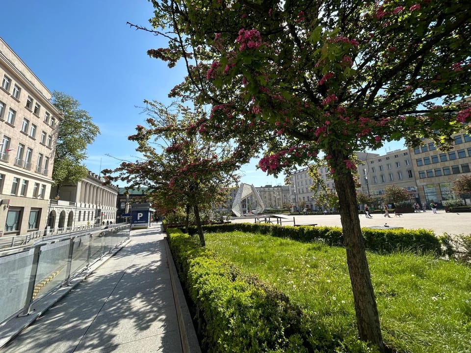 Apartamenty Pl. Wolności 6 Apartment in Poznan