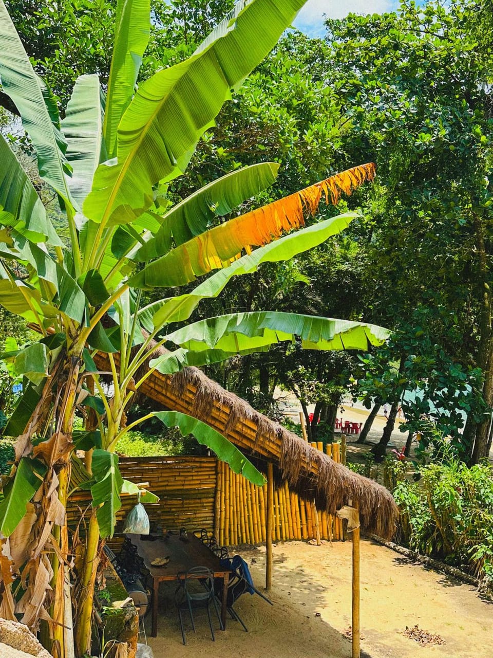 Refugio Ilha Grande House in State of Rio de Janeiro