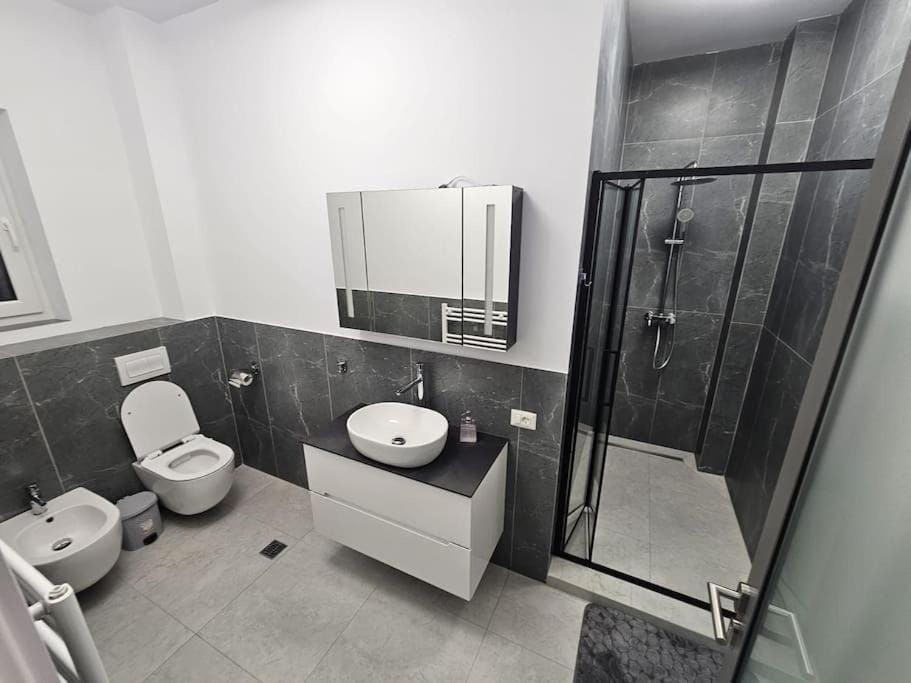 Comfy & Cozy Apartament 2 Apartment in Romania