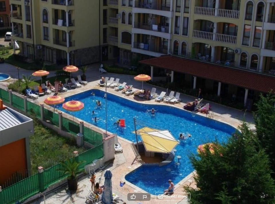 Swimming pool, Swimming pool