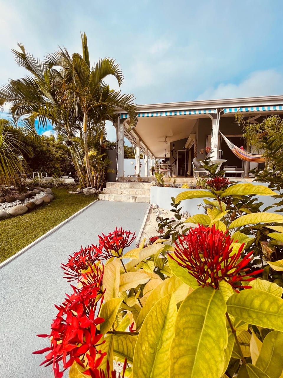 Garden, Garden view