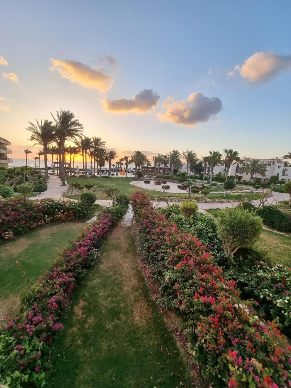 Natural landscape, Garden, Garden view, Sunrise