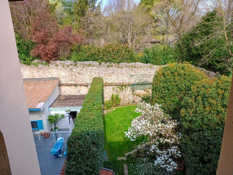 Natural landscape, Garden