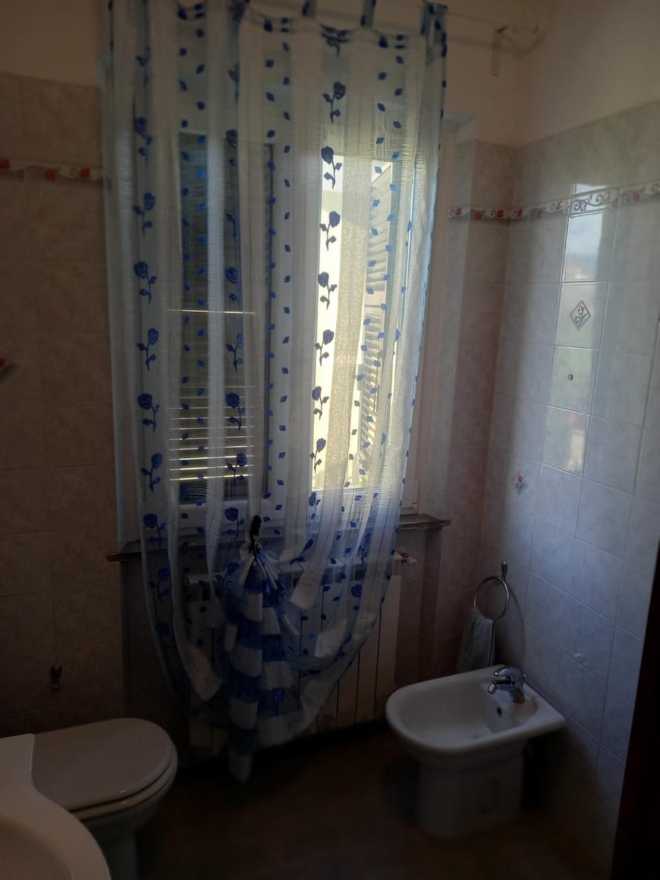 Toilet, Bathroom, bidet