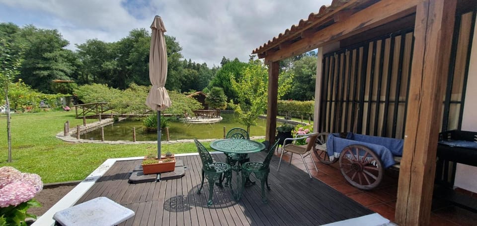 Patio, Garden, Garden view
