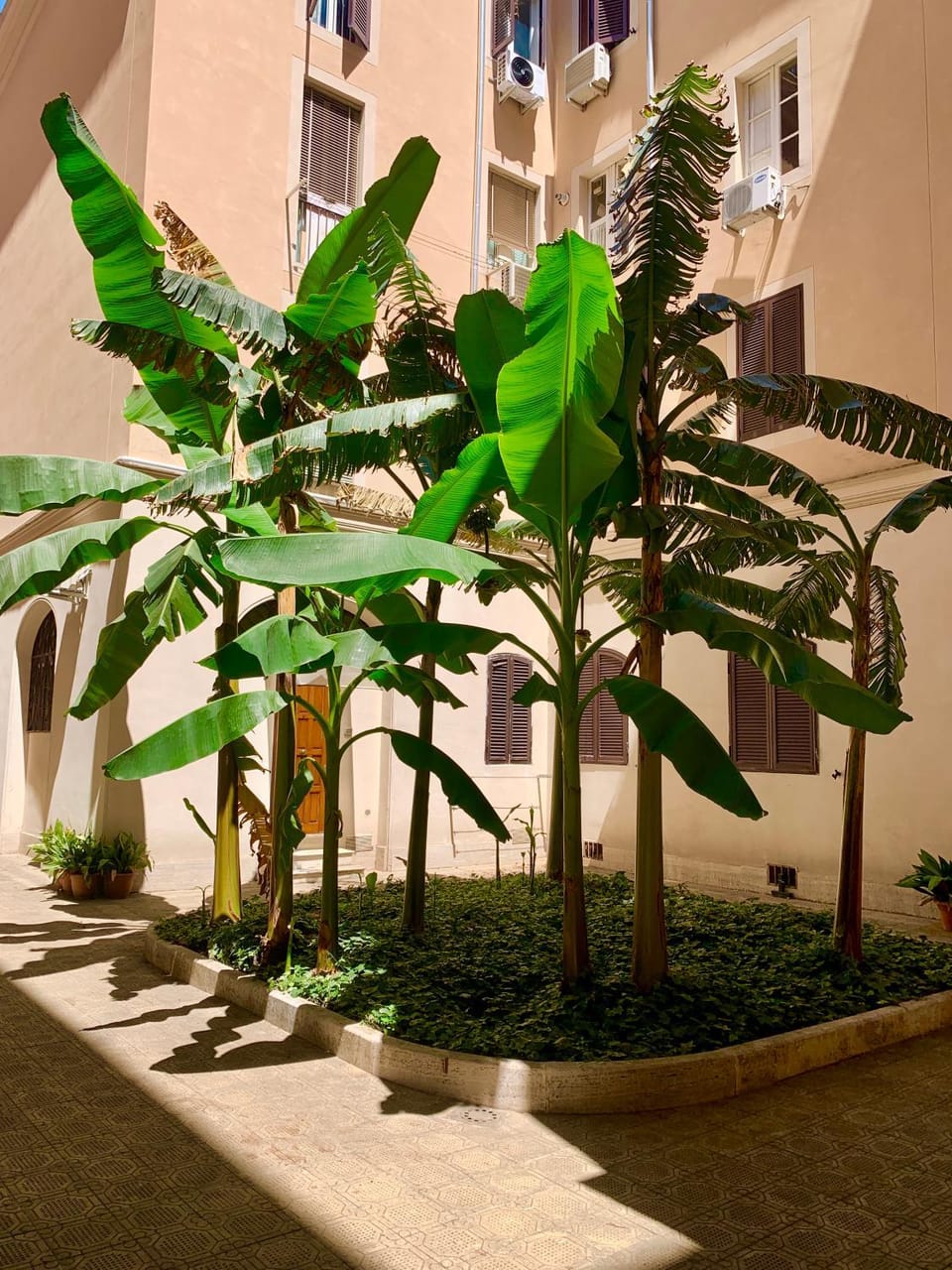 Inner courtyard view