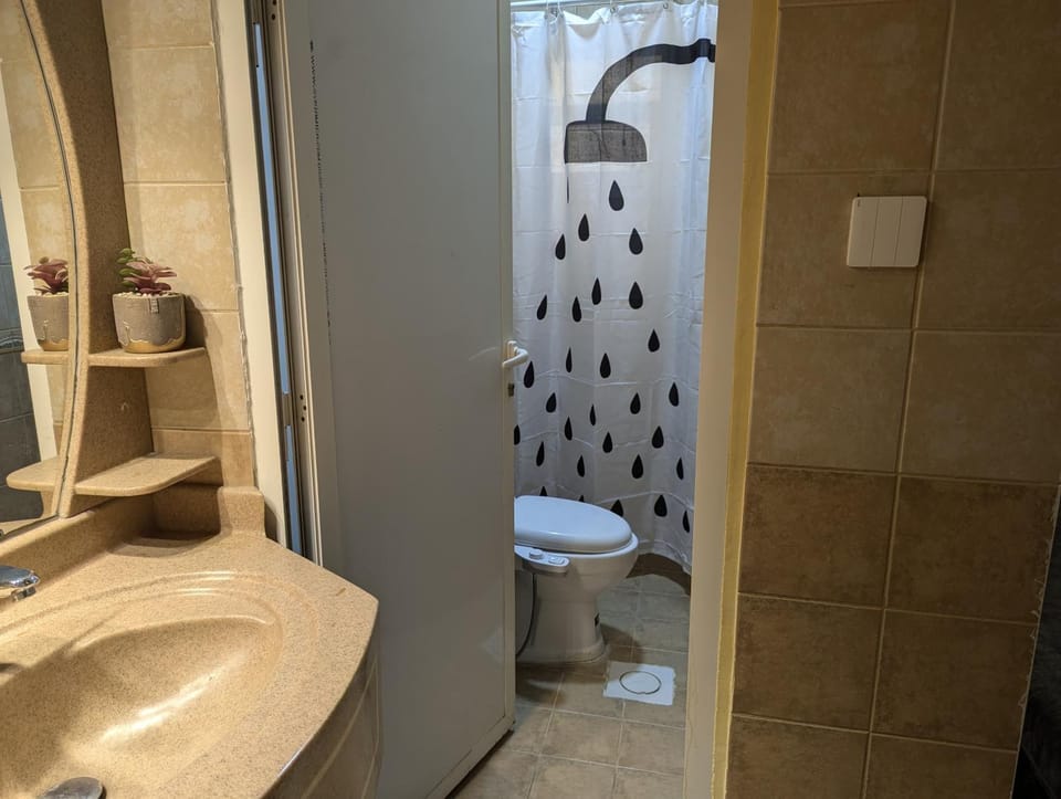 Shower, Bathroom, bidet