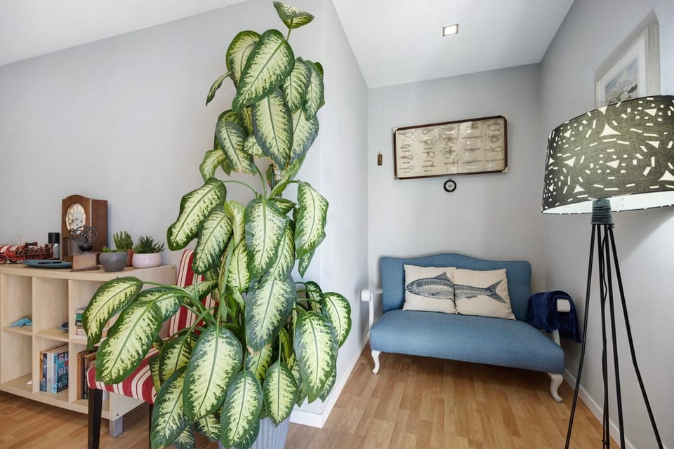Property building, Living room