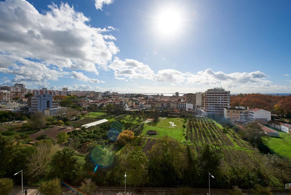 City view
