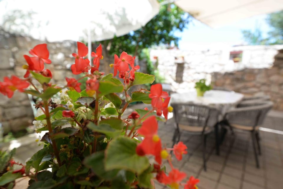 Apartment Stari Murter Apartment in Murter