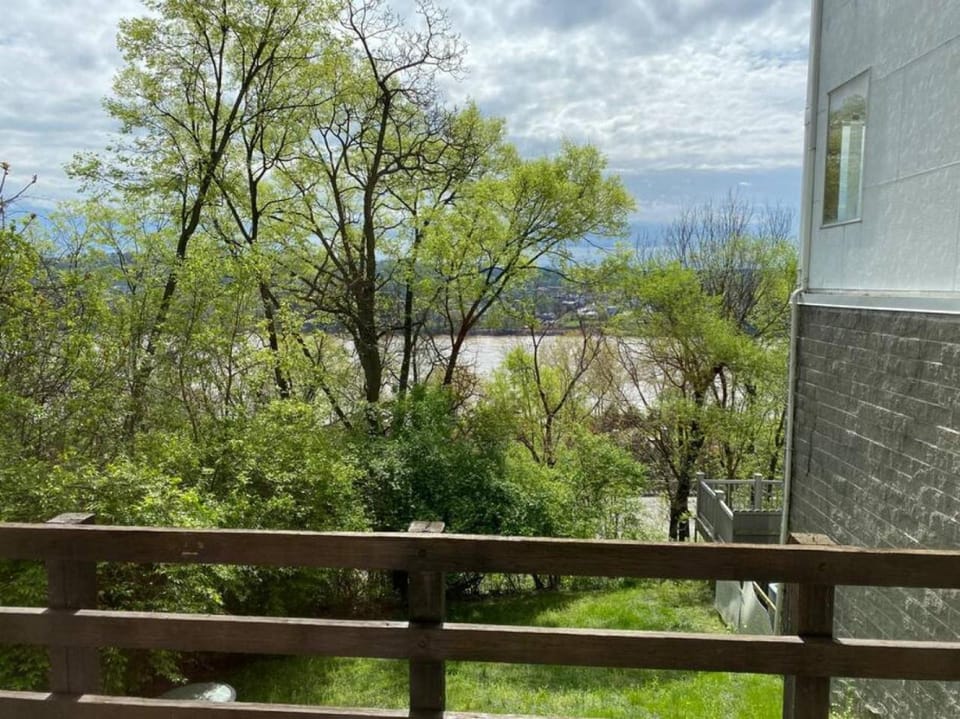 Explore Downtown and Mount Adams with River Views House in Cincinnati