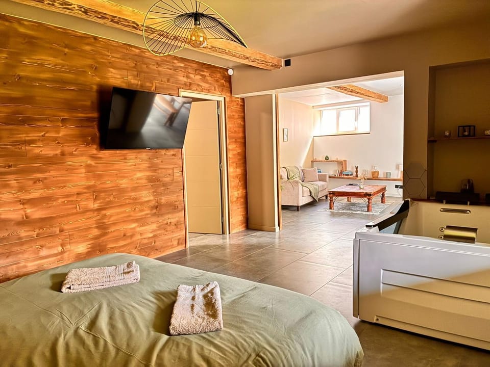 Superbe appartement avec jacuzzi et jardin privé Apartment in Auvergne-Rhône-Alpes