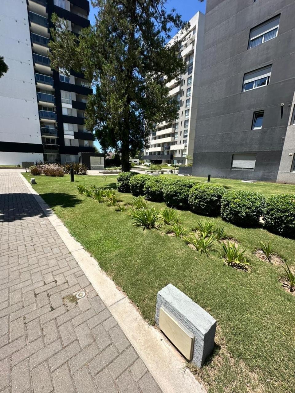 Property building, Day, Garden, Garden view